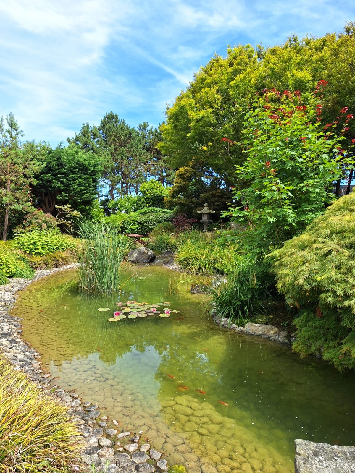Jardin japonais au Havre