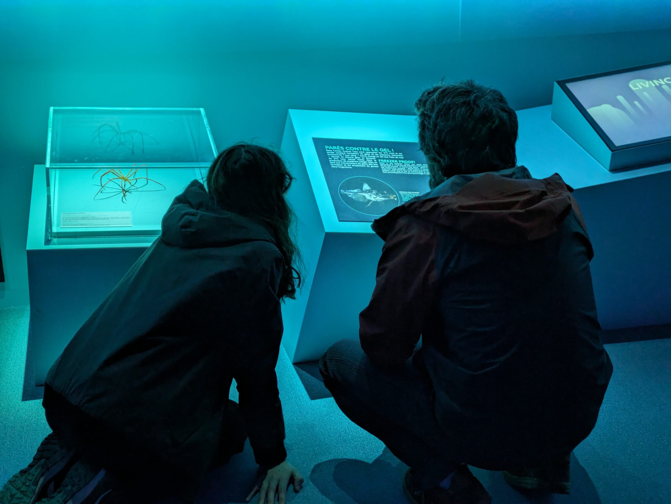 Atrium de Rouen - Exposition Océan