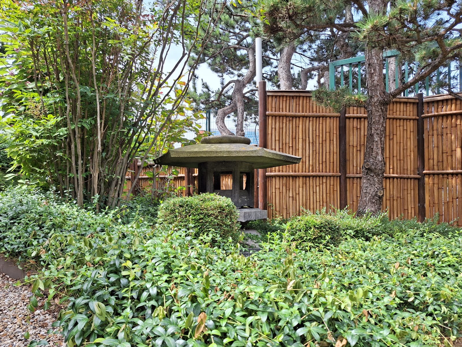 Jardin japonais au Havre