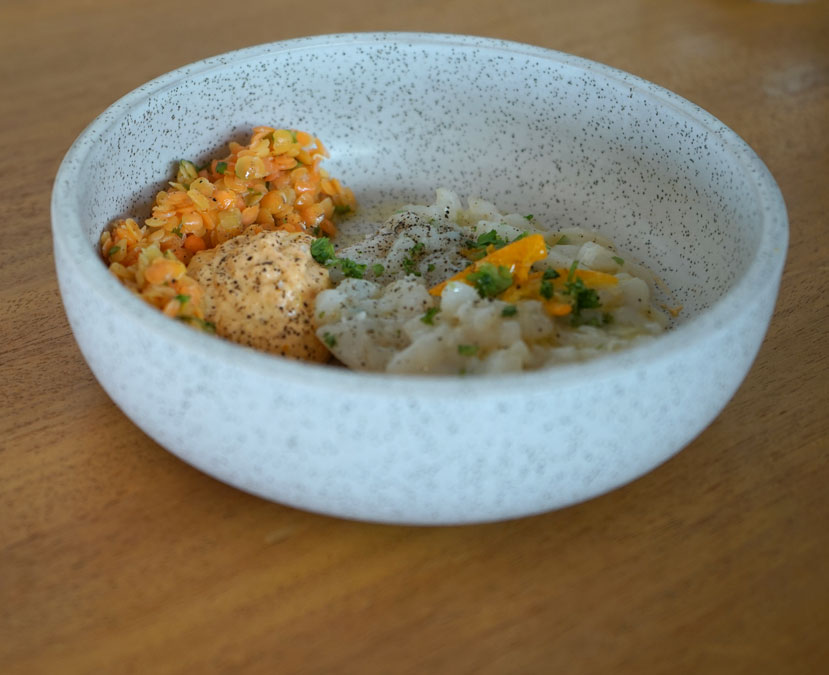 Assiettes repas Les Fauves