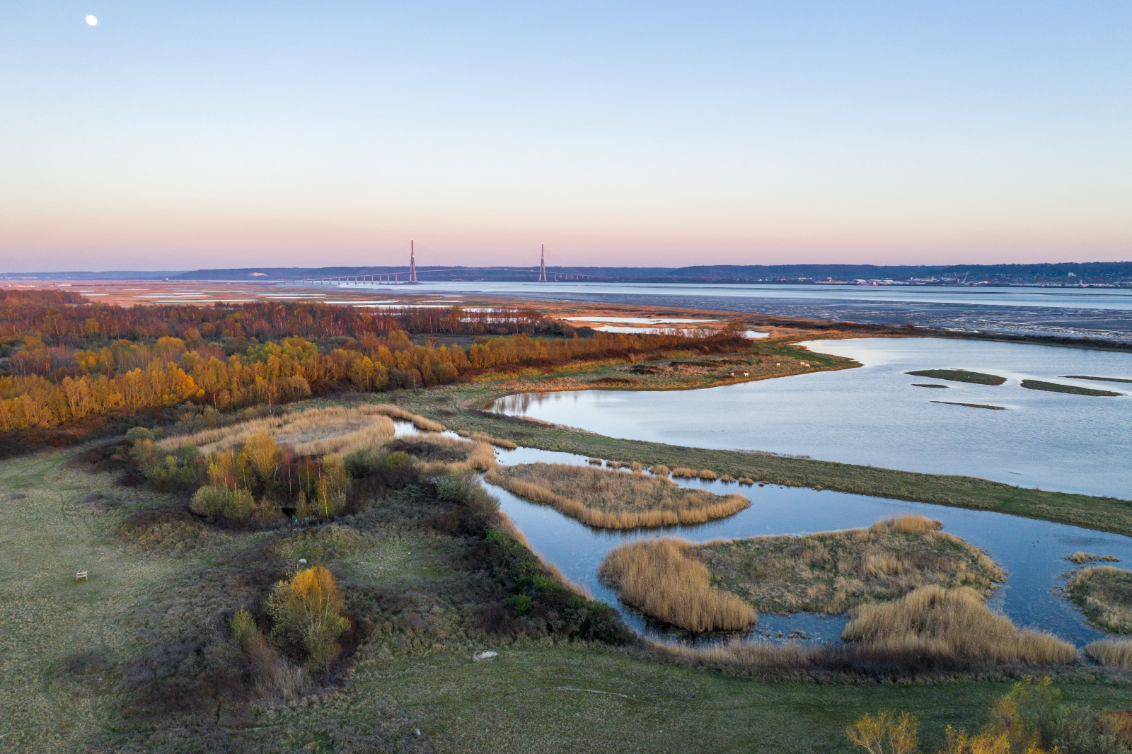 prise de vue aérienne - réserve naturelle de l'estuaire de seine - pont de Normandie - espace preserve Mare - Seine - coucher de soleil