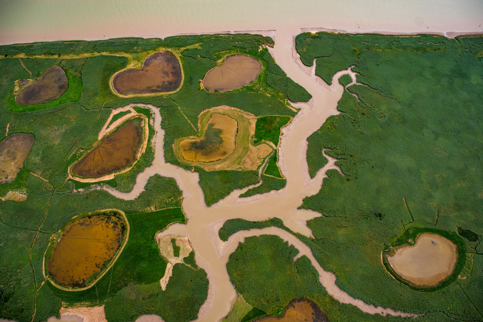 ESTUAIRE DE LA SEINE RESERVE NATURELLE NATIONALE ENVIRONNEMENT BIODIVERSITE