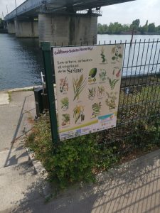 panneau présentant les principales espèces florales de Conflans