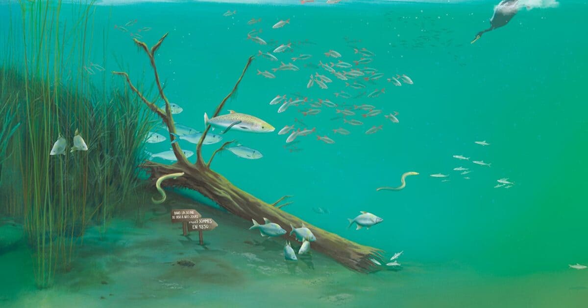 Peinture de l'exposition 