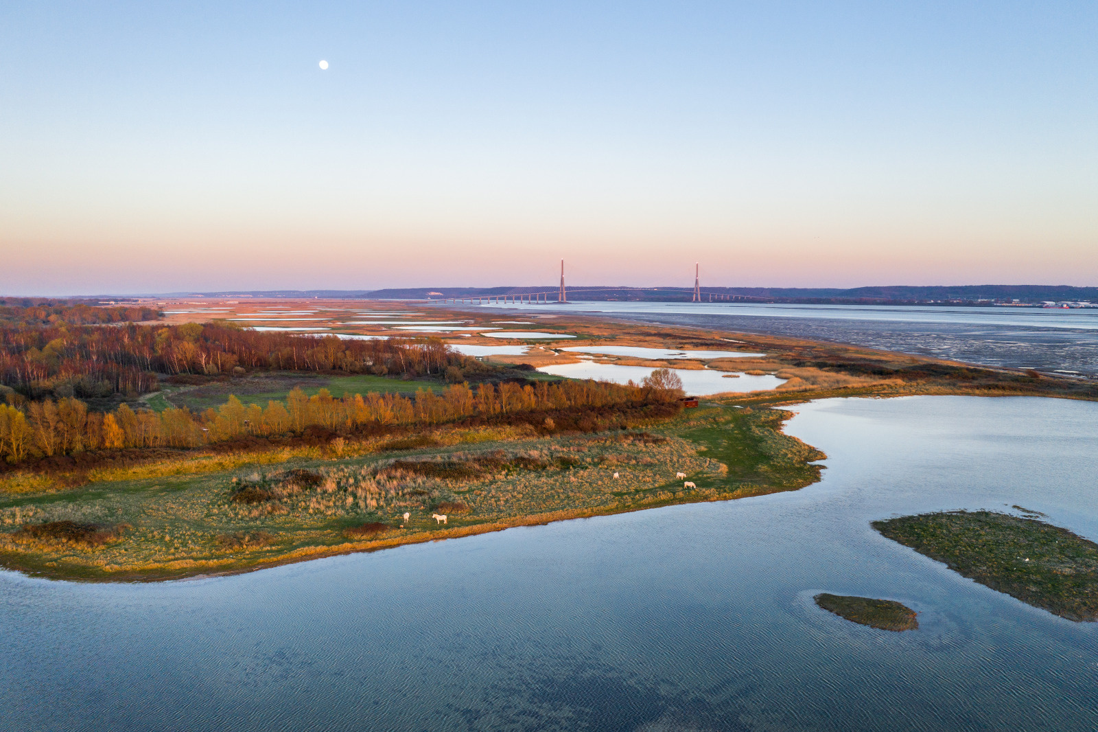 Prise de vue aerienne de l'estuaire de la Seine près du pont de Normandie au Havre.