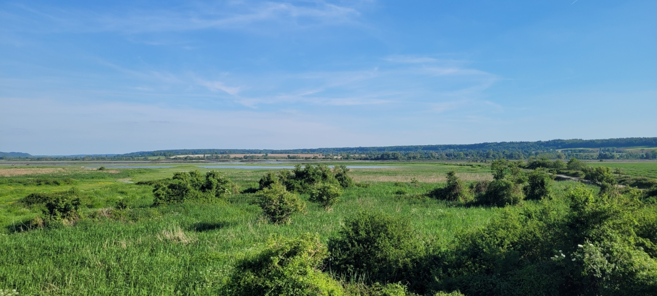 Le marais du Hode sur l'estuaire de la Seine